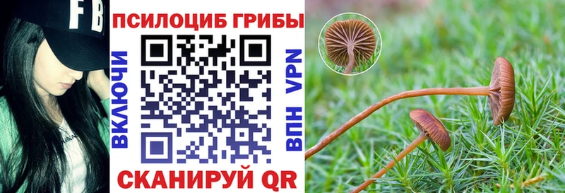 Галлюциногенные грибы Magic Shrooms  Купить  Шадринск 